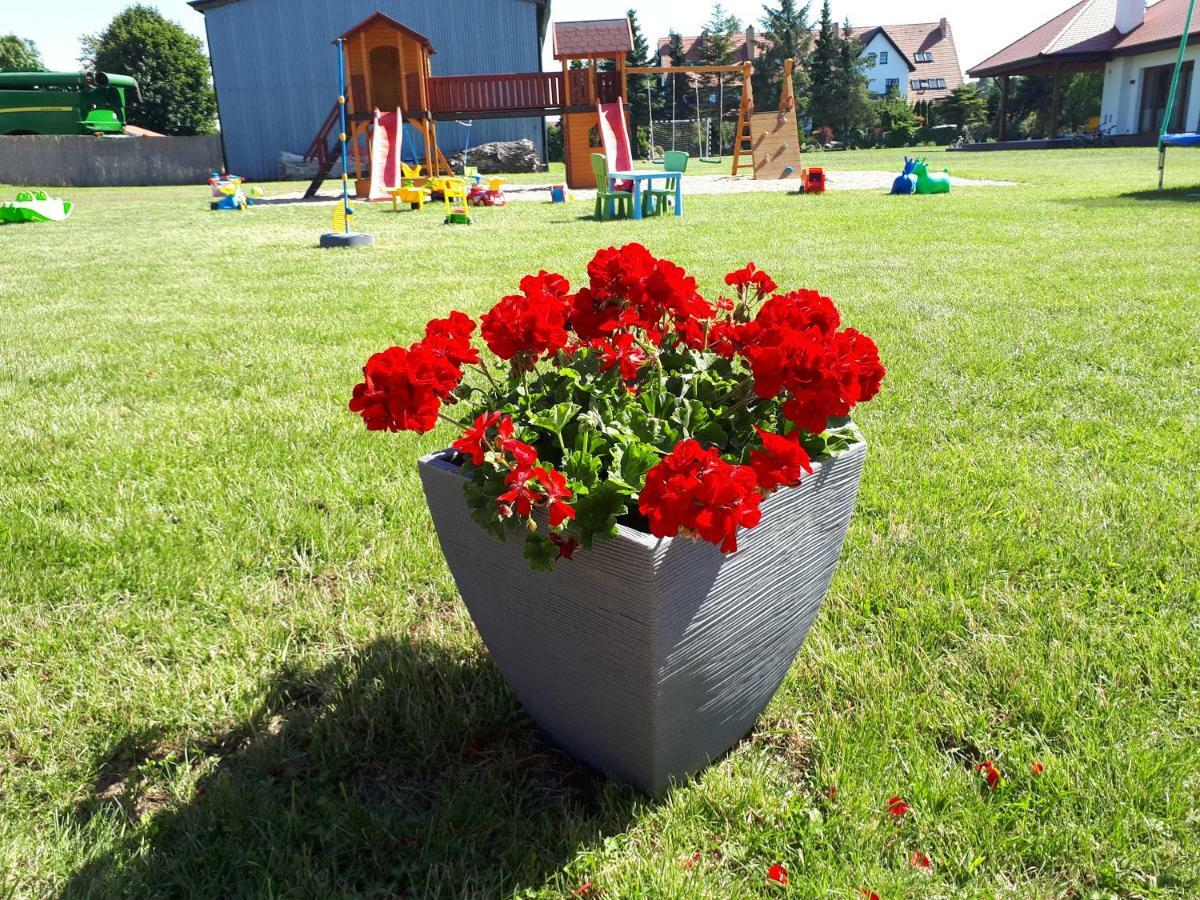 Domki Letniskowe Rekinek Darlowo Exterior foto